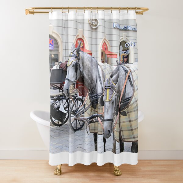 Disney Horse Drawn Carriages Princess Cinderella Shower Curtain 100/% Polyester