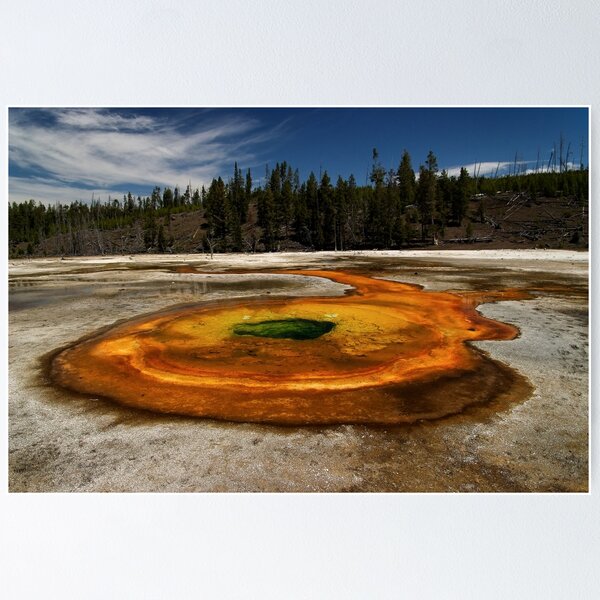 Item preview,  Wyoming designed and sold by Stephen Beattie.
