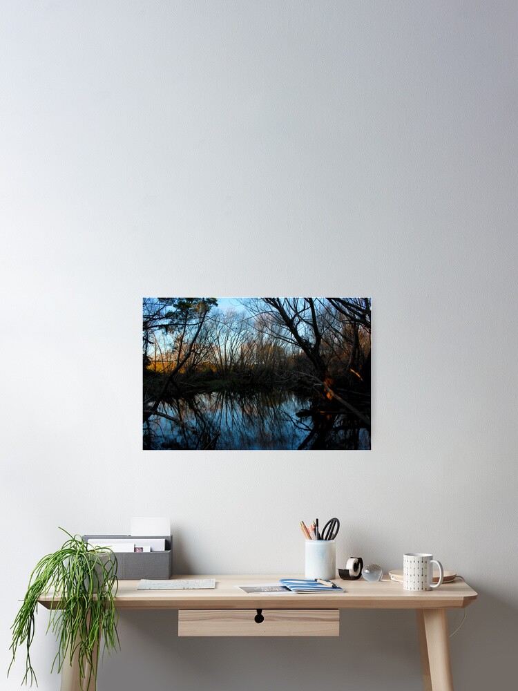 Thumbnail 2 of 3, Poster, Reflections designed and sold by IndyaConnley.