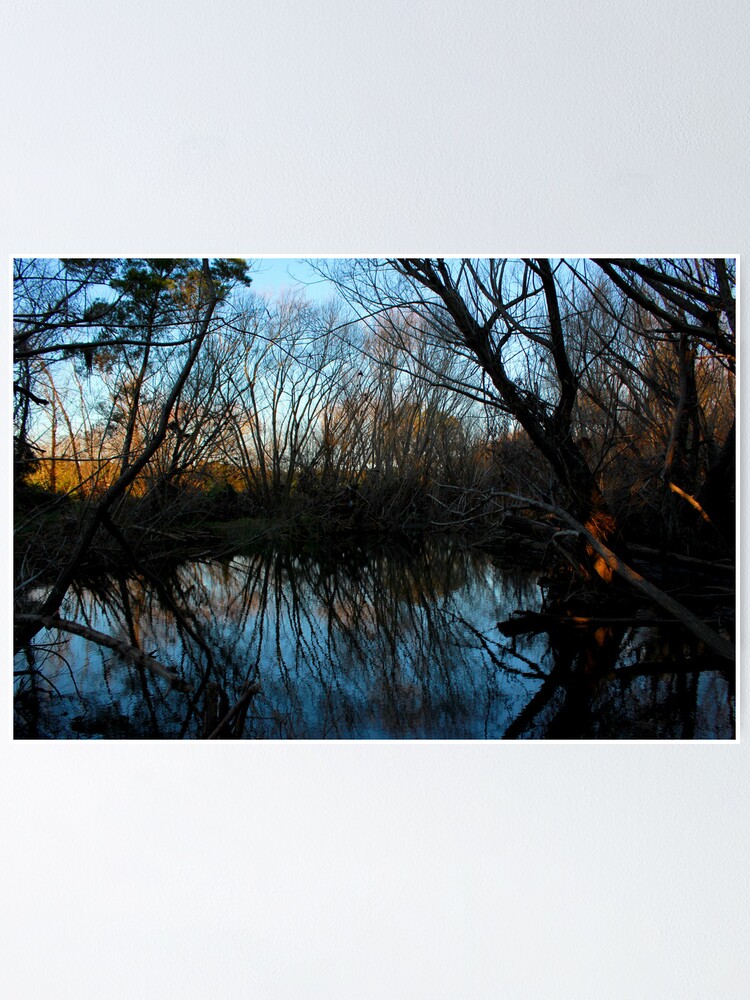 Thumbnail 1 of 3, Poster, Reflections designed and sold by IndyaConnley.