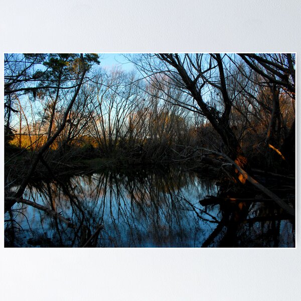 Item preview, Reflections designed and sold by IndyaConnley.