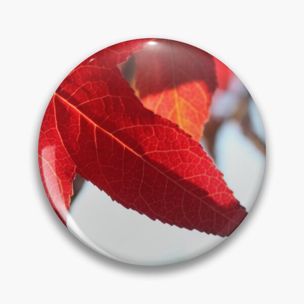 Artikelvorschau, Red maple leaf entworfen und verkauft von pulen.