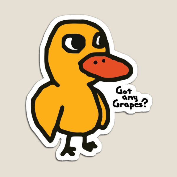 Mr. Duck Magnet