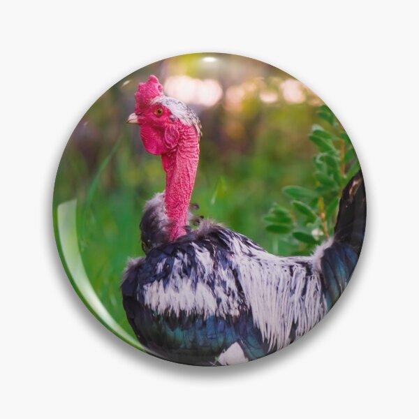 Item preview, Sleeves: The Proud Naked Neck Rooster designed and sold by FigTreeMagick.
