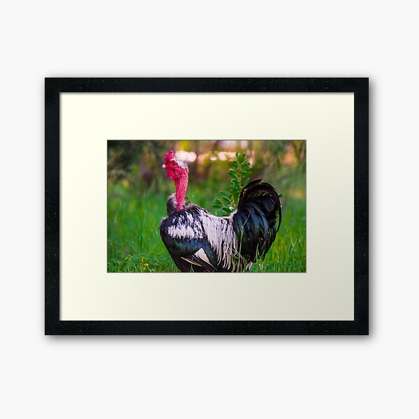 Naked Chicken Wall Art for Sale | Redbubble