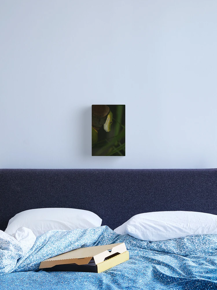 Thumbnail 2 of 3, Canvas Print, Green Tree Python designed and sold by RobsVisions.