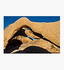 Night Clawing Its Way In Photographic Print