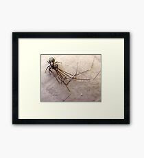 Cannibal! Framed Print