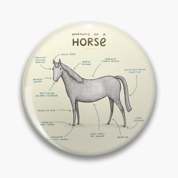 Item preview, Anatomy of a Horse designed and sold by SophieCorrigan.