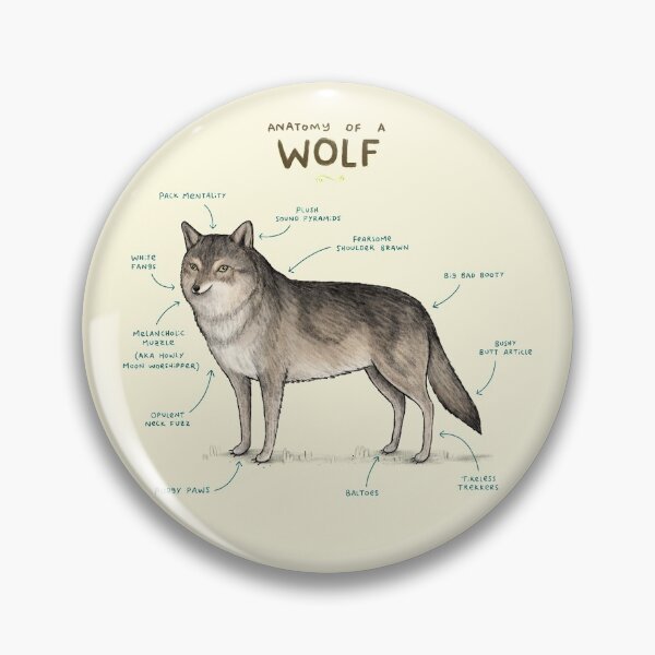 Item preview, Anatomy of a Wolf designed and sold by SophieCorrigan.