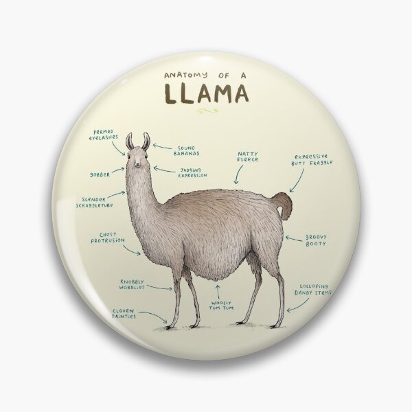 Item preview, Anatomy of a Llama designed and sold by SophieCorrigan.