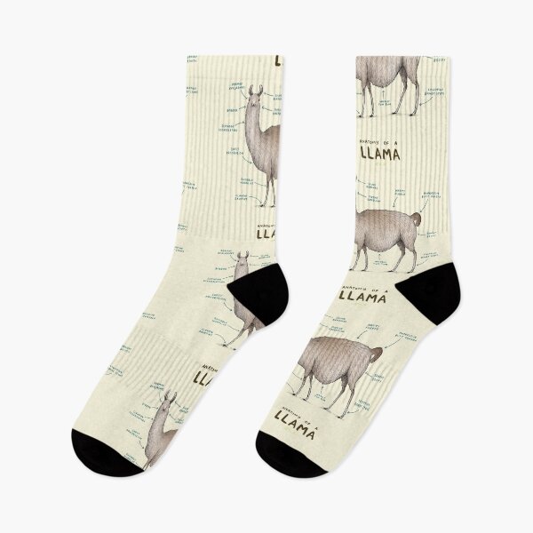Item preview, Anatomy of a Llama designed and sold by SophieCorrigan.