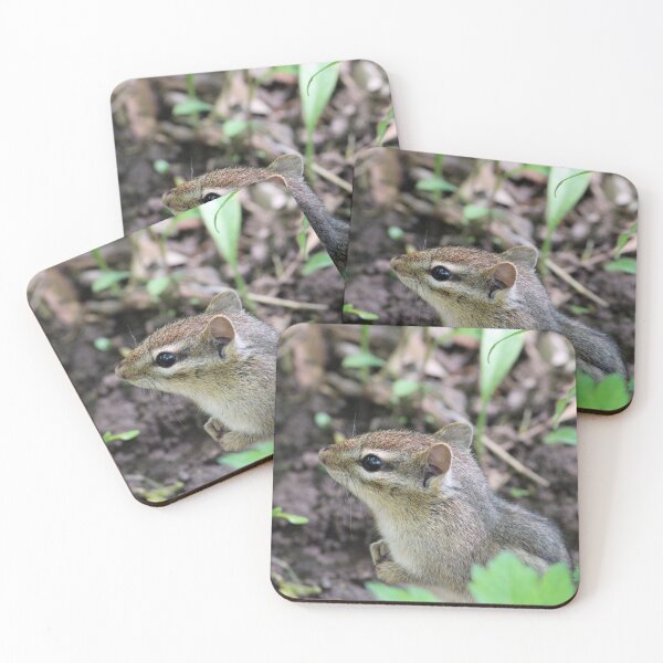 Item preview, Cute Little Chipmunk in the Forest designed and sold by Susie Kramer.