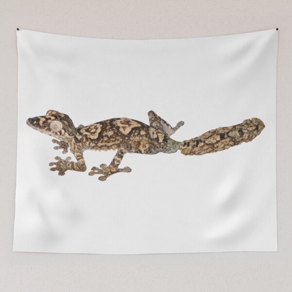 Item preview, Uroplatus giganteus designed and sold by Mark D. Scherz.