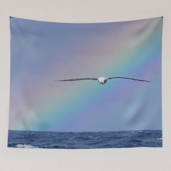 Item preview, Rainbow Pride Albatross designed and sold by DiomediaDesigns.