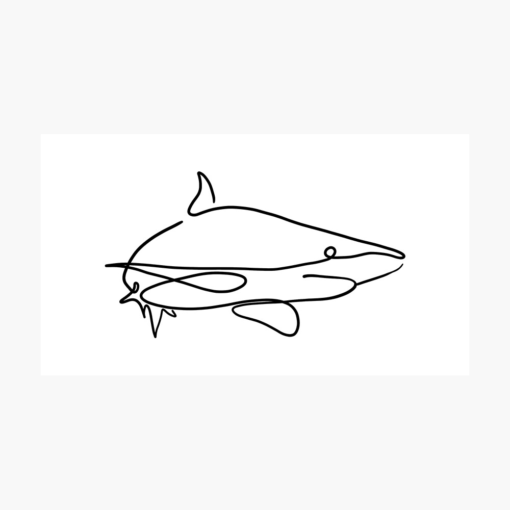 Shark One Line Illustration Drawing Poster By Deadyokai Redbubble