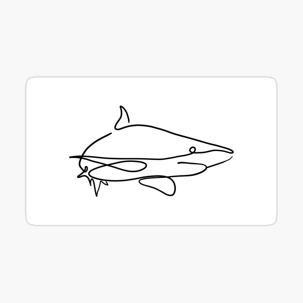 Shark One Line Illustration Drawing Poster By Deadyokai Redbubble