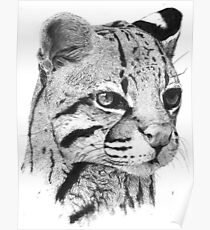 Ocelot Poster