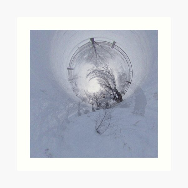 When Trees Dream in Winter Art Print