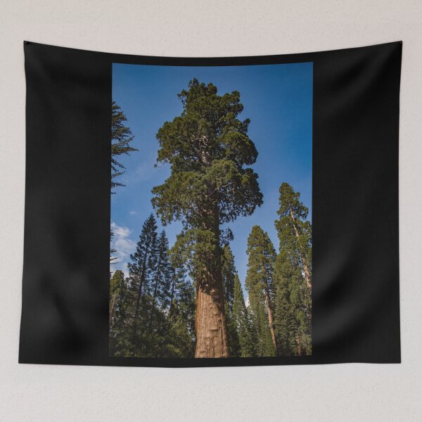 Item preview, Redwood Giant designed and sold by ZMorrisDesigns.
