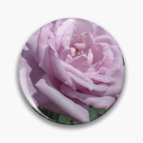 Item preview, The queen of the garden designed and sold by Ana Belaj.