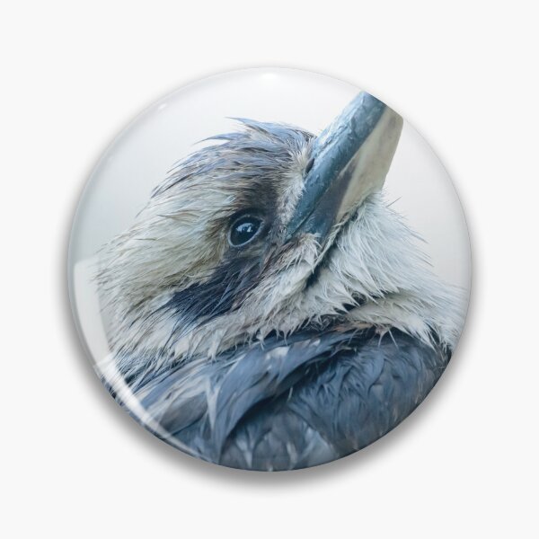 Item preview, Kookaburra 15 designed and sold by Werner Padarin.