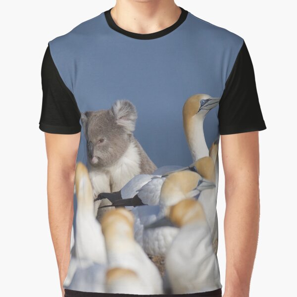 Aperçu de l'œuvre Koala perdu dans la colonie de fous de Bassan créée et vendue par DiomediaDesigns.