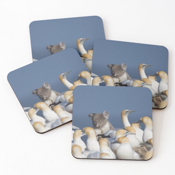 Item preview, Lost Koala in Gannet Colony designed and sold by DiomediaDesigns.