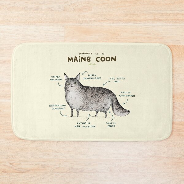 Item preview, Anatomy of a Maine Coon designed and sold by SophieCorrigan.