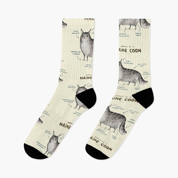 Item preview, Anatomy of a Maine Coon designed and sold by SophieCorrigan.