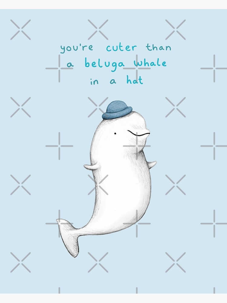 beluga cute : r/cats