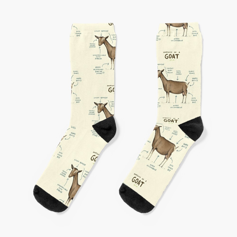 Disover Anatomy of a Goat Socks