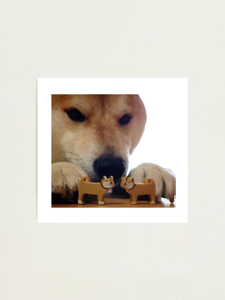 YEE Dog Puzzle Toy