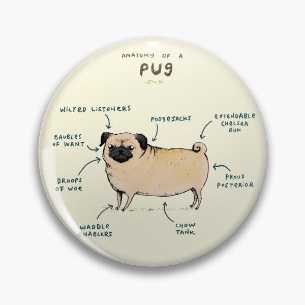 Item preview, Anatomy of a Pug designed and sold by SophieCorrigan.