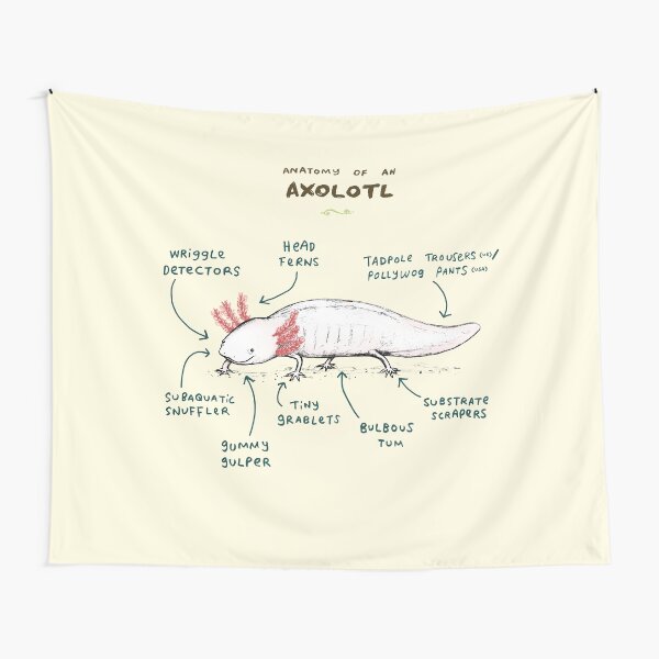 Anatomy of an Axolotl Tapestry
