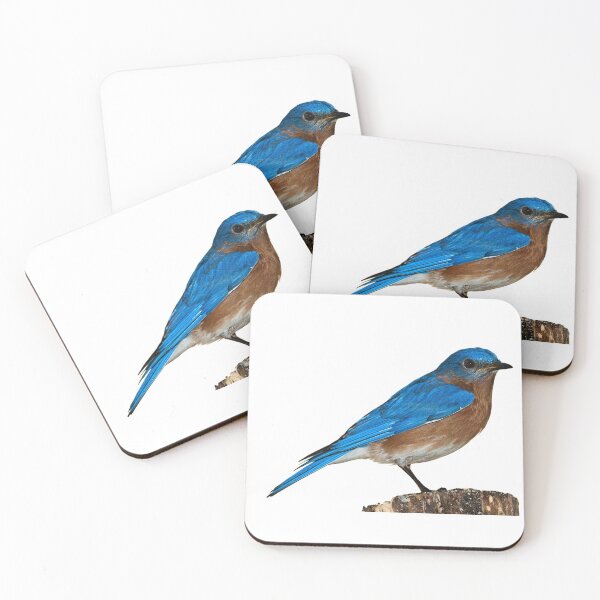 Item preview, ? Bird designed and sold by Almanshah.