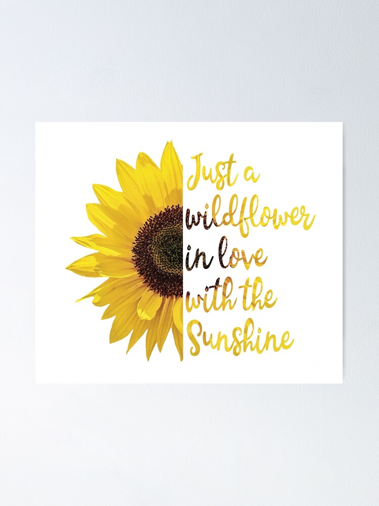 Download Sunflower Just A Wildflower In Love With The Sunshine Poster By Sassandhoney Redbubble