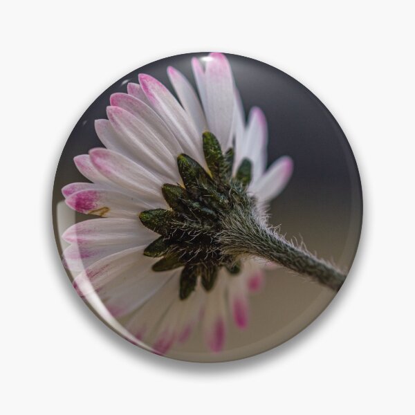 Item preview, Macro shot of a Daisy Flower  designed and sold by Jinxyboy1908.