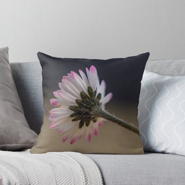 Item preview, Macro shot of a Daisy Flower  designed and sold by Jinxyboy1908.