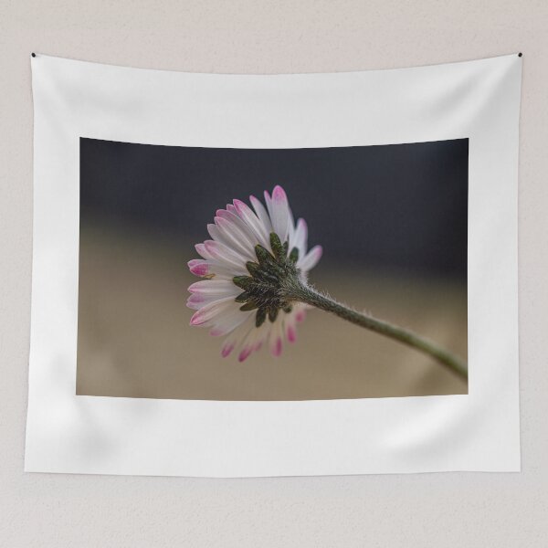 Item preview, Macro shot of a Daisy Flower  designed and sold by Jinxyboy1908.