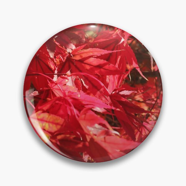 Item preview, Nature, Europe, Switzerland, Geneva, city park, autumn, leaves, red, photography, BebiCervin designed and sold by BebiCervin.
