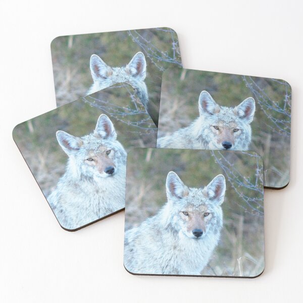 Item preview, Watercolor Coyote 05, Estes Park, Colorado, Pensive Predator designed and sold by CarlsonImagery4.