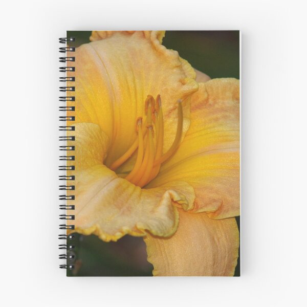 Item preview, Gold day lily designed and sold by B. Randi Bailey.