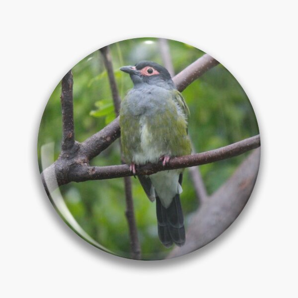 Item preview, Figbird designed and sold by AHELENE.