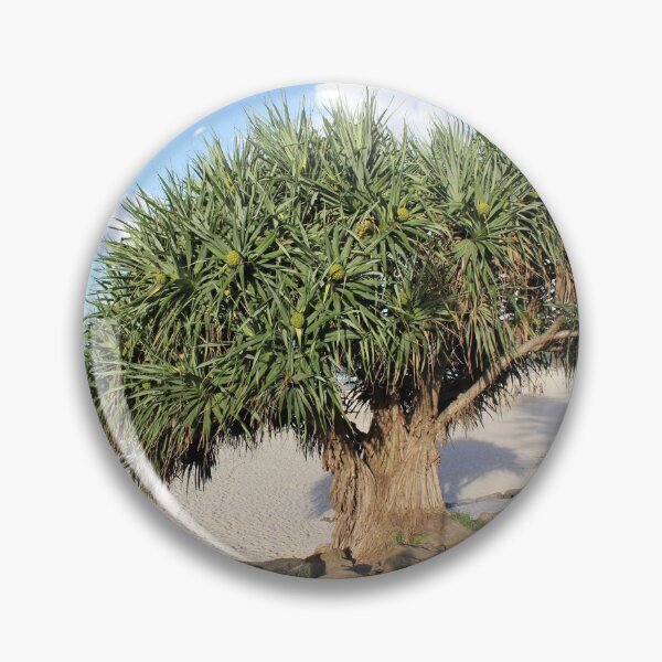 Item preview, Cabbage Tree at Byron Bay Beach designed and sold by AHELENE.
