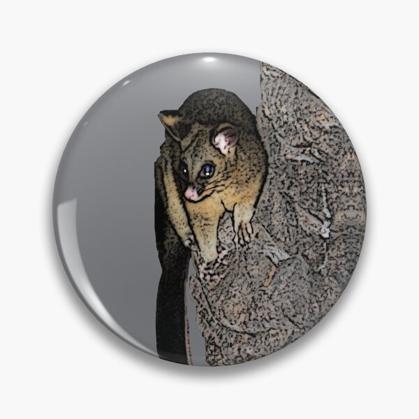 Item preview, Possum des villes designed and sold by AHELENE.