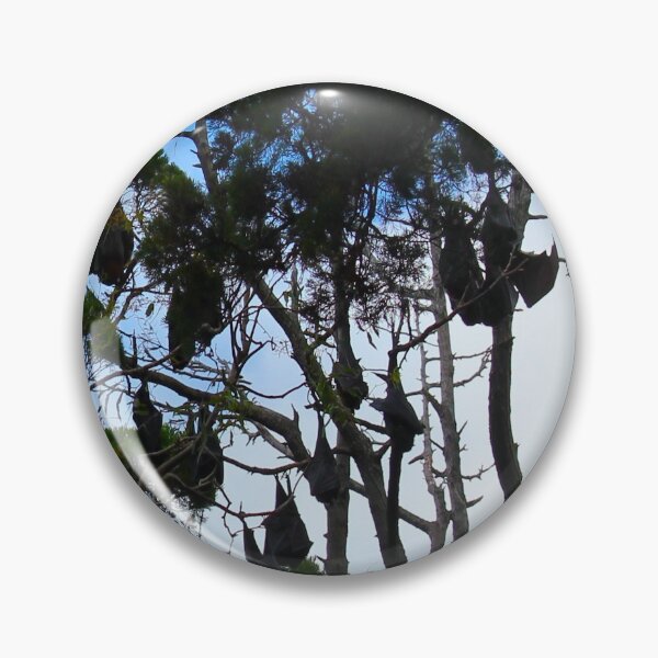 Item preview, Fruit bats in Hervey Bay designed and sold by AHELENE.