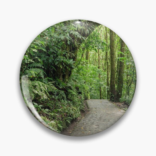 Item preview, Stone path in Monteverde cloud forest Costa Rica designed and sold by Juhku.