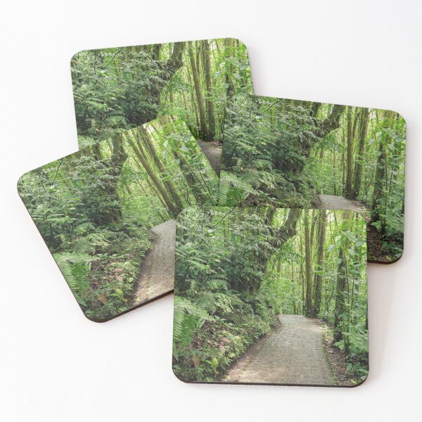Item preview, Stone path in Monteverde cloud forest Costa Rica designed and sold by Juhku.