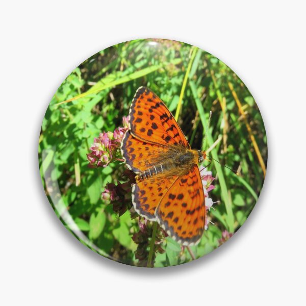 Item preview, Papillon de Lapege designed and sold by AHELENE.